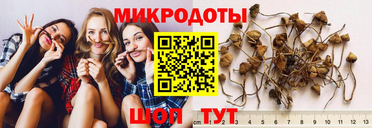 Галлюциногенные грибы MAGIC MUSHROOMS Нижнекамск